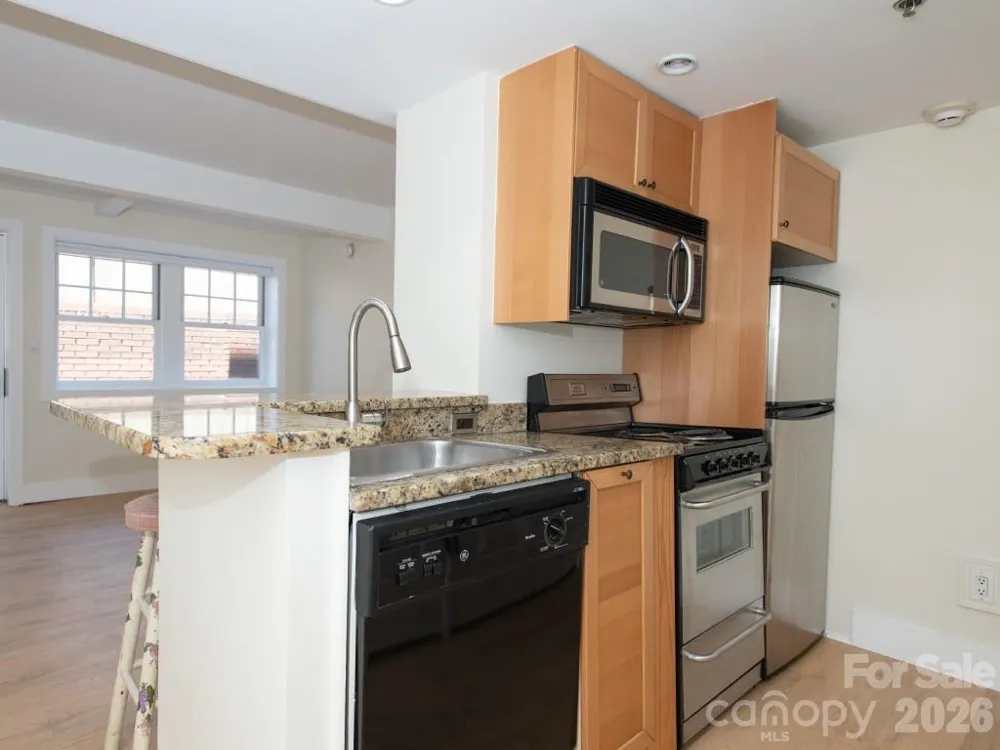 37 Hiawassee Street #W103 Asheville, NC 28801