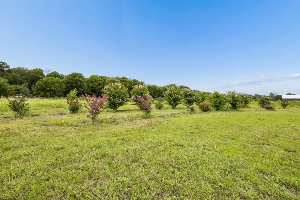 62 Trailridge Drive Melissa, TX 75454