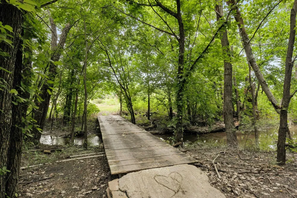 62 Trailridge Drive Melissa, TX 75454