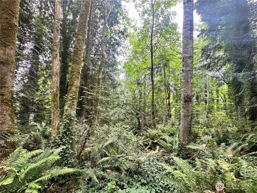 0 Alder Indianola, WA 98342