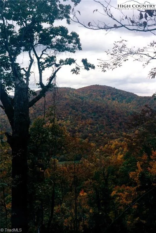 TBD Edwin Blevins Road Jefferson, NC 28640
