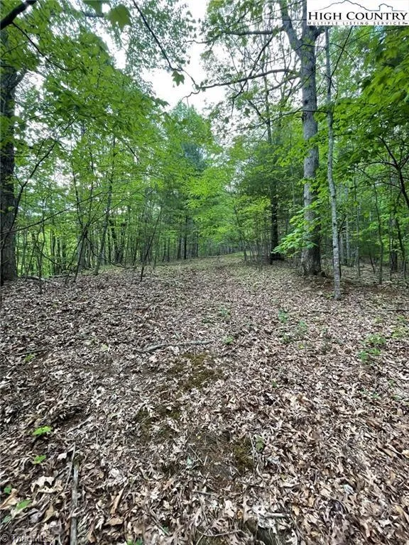 TBD Edwin Blevins Road Jefferson, NC 28640