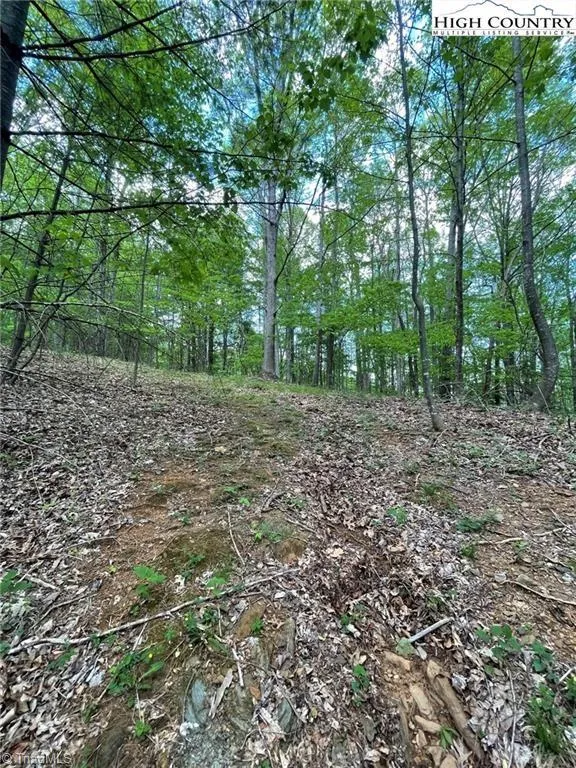TBD Edwin Blevins Road Jefferson, NC 28640