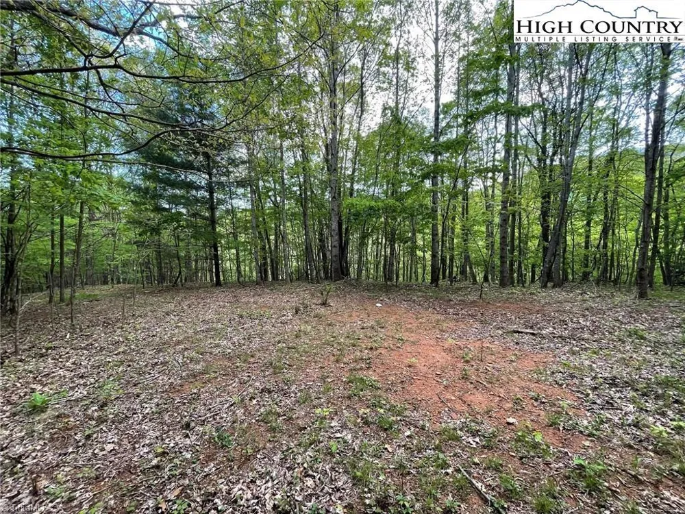 TBD Edwin Blevins Road Jefferson, NC 28640