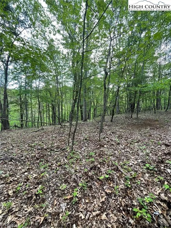 TBD Edwin Blevins Road Jefferson, NC 28640