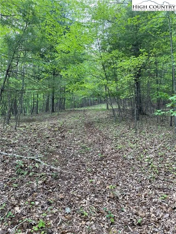 TBD Edwin Blevins Road Jefferson, NC 28640