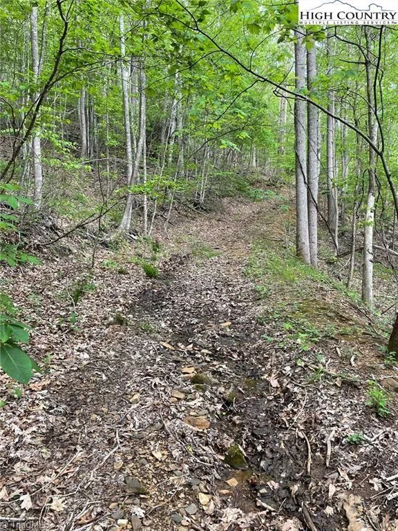 TBD Edwin Blevins Road Jefferson, NC 28640