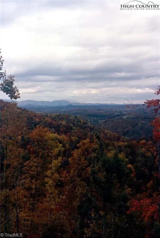 TBD Edwin Blevins Road Jefferson, NC 28640