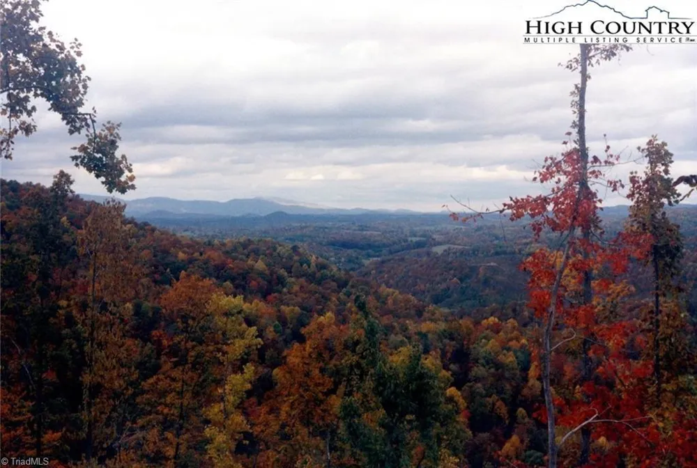 TBD Edwin Blevins Road Jefferson, NC 28640
