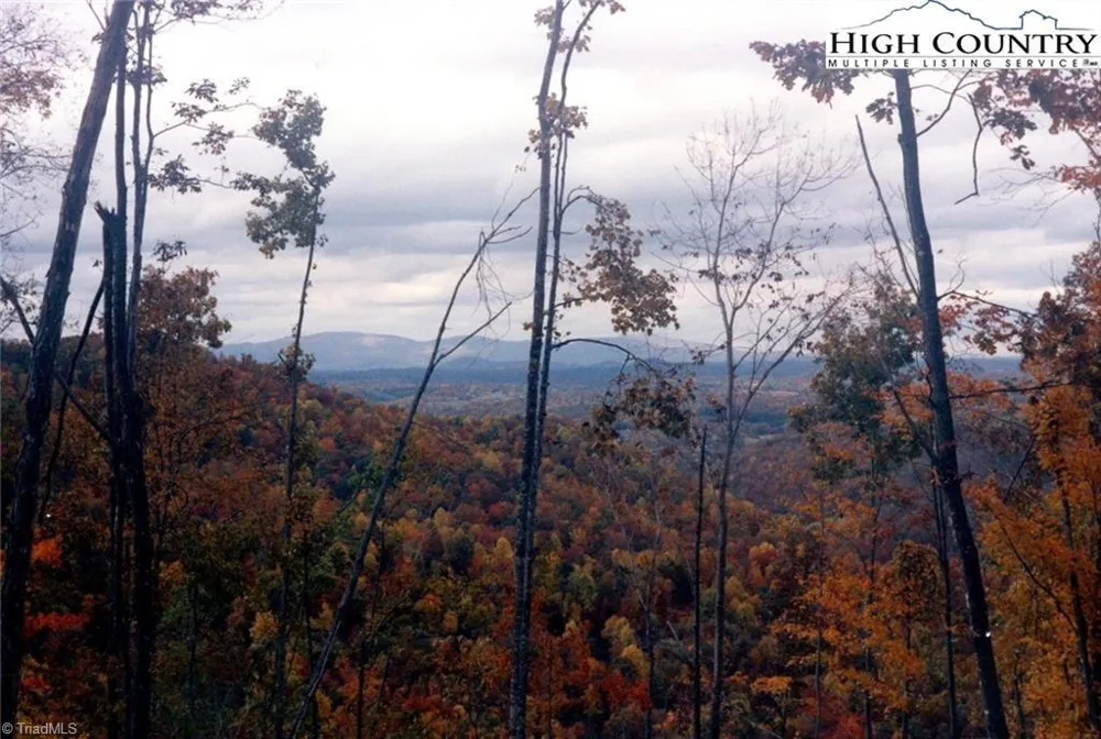 TBD Edwin Blevins Road Jefferson, NC 28640