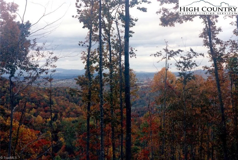 TBD Edwin Blevins Road Jefferson, NC 28640