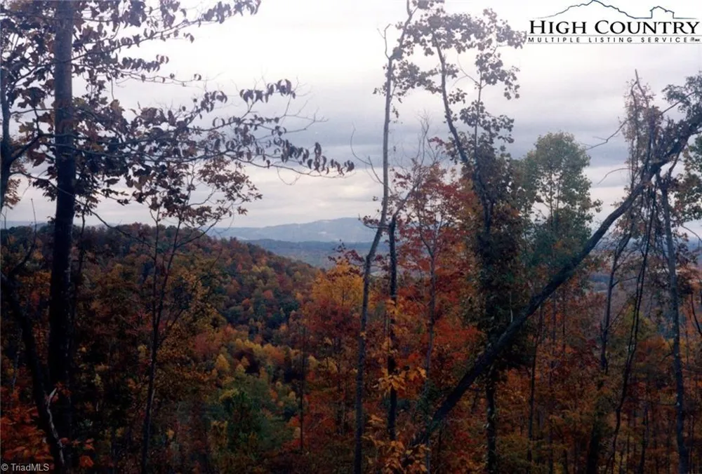 TBD Edwin Blevins Road Jefferson, NC 28640
