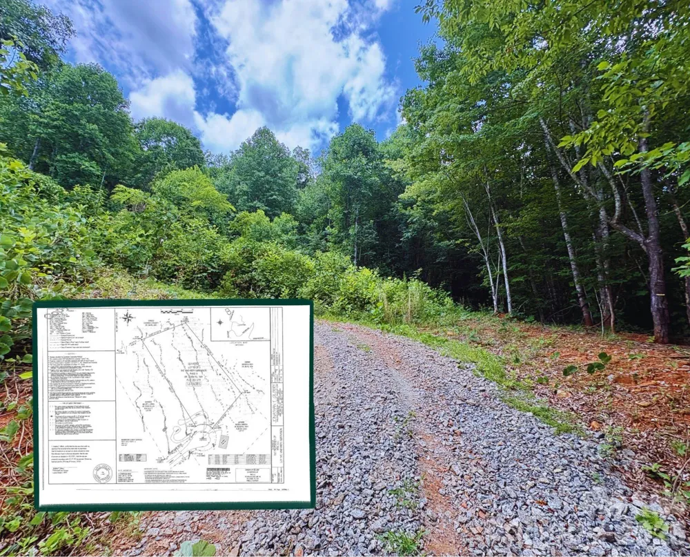 289 Champange Ridge Lake Lure, NC 28746