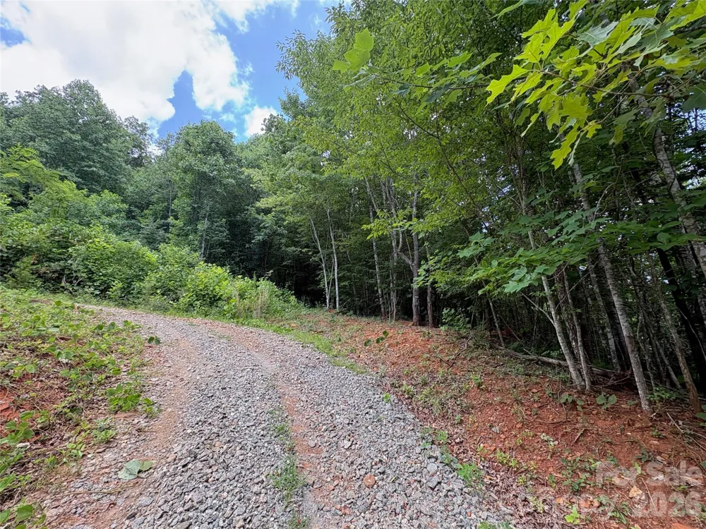 289 Champange Ridge Lake Lure, NC 28746