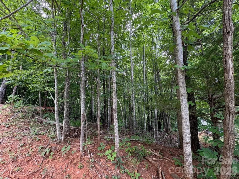 289 Champange Ridge Lake Lure, NC 28746
