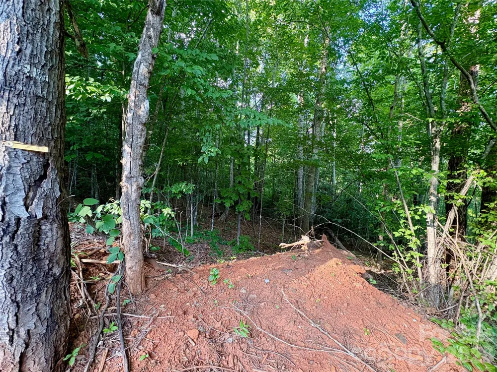 289 Champange Ridge Lake Lure, NC 28746
