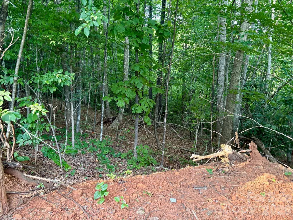 289 Champange Ridge Lake Lure, NC 28746