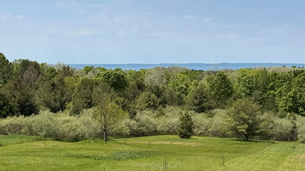 5815 Farrell Road Torch Lake Township, MI 49622