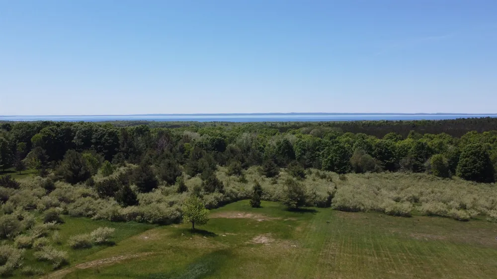 5815 Farrell Road Torch Lake Township, MI 49622
