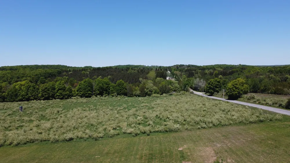5815 Farrell Road Torch Lake Township, MI 49622