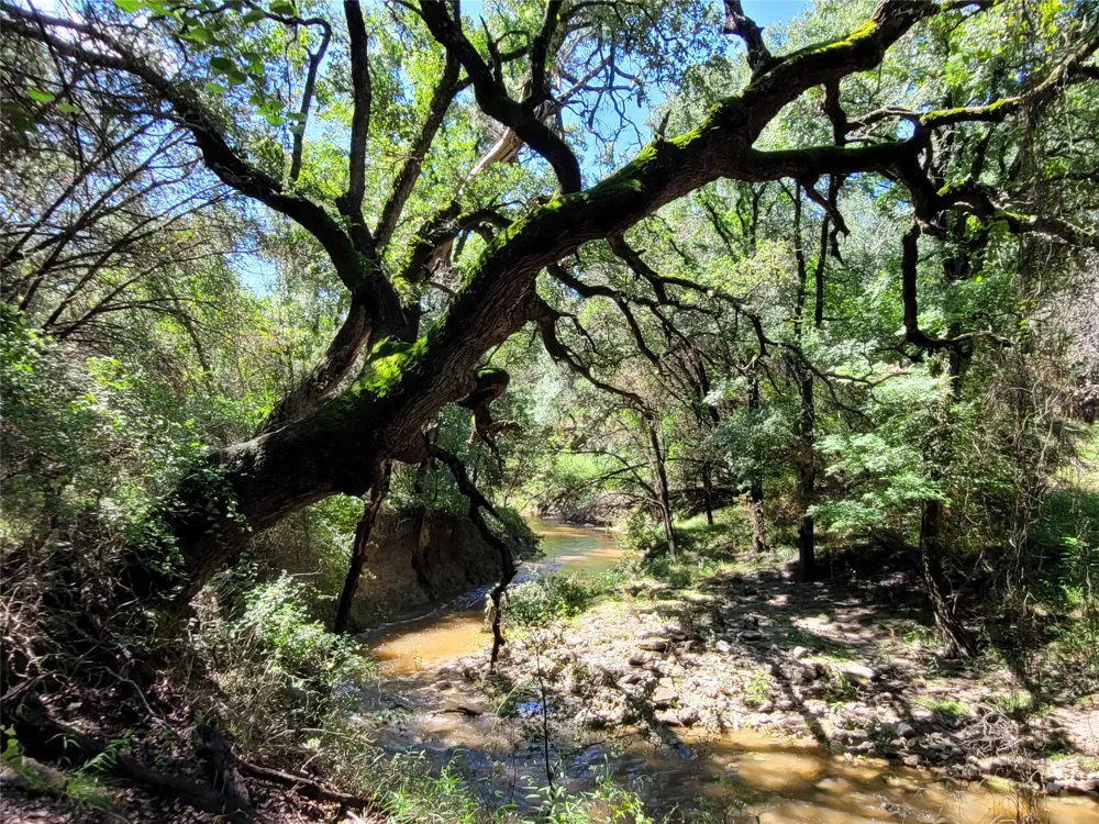 CR 1139 575 Acres Lampasas, TX 76550