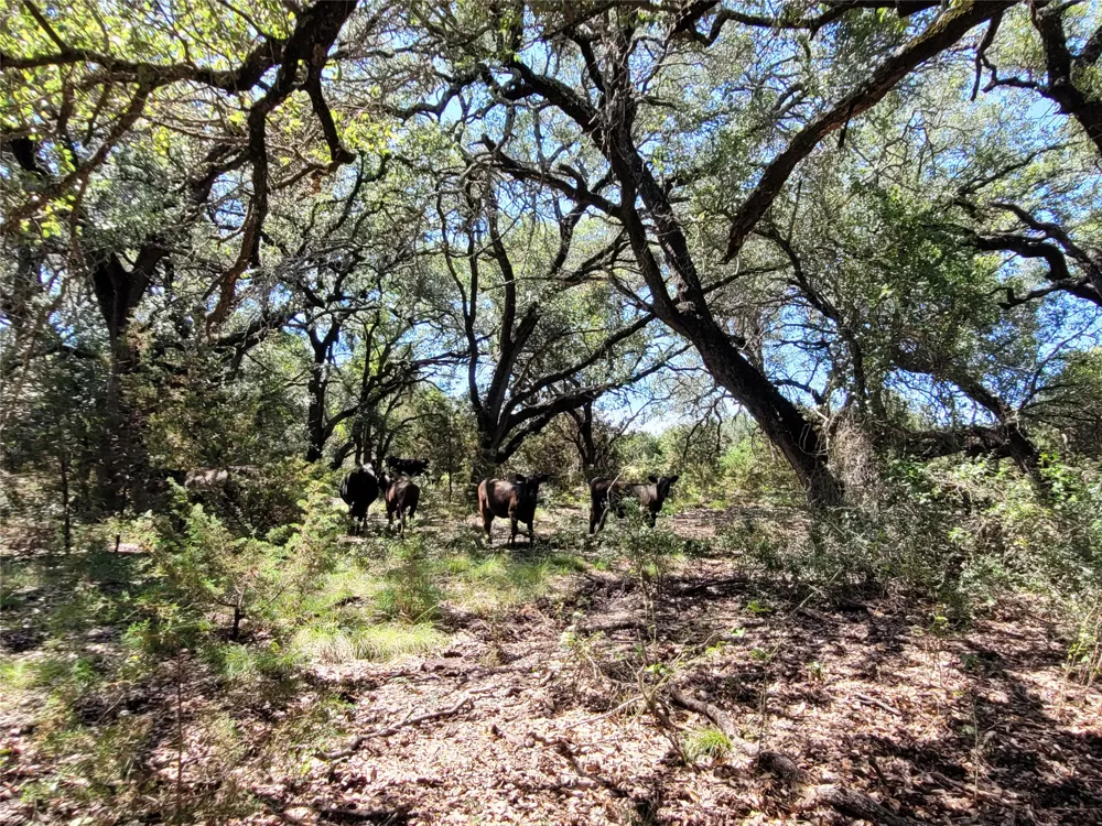 CR 1139 575 Acres Lampasas, TX 76550