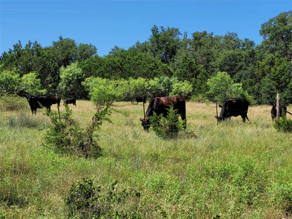 CR 1139 575 Acres Lampasas, TX 76550