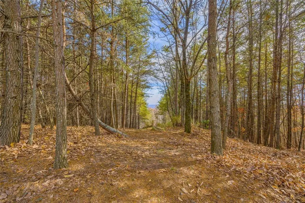 0 Eagle Ridge Trail Lot #4 & Lot #5 Cleveland, GA 30528