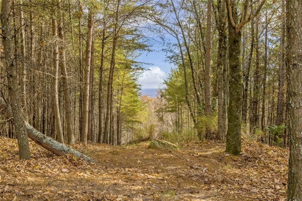 0 Eagle Ridge Trail Lot #4 & Lot #5 Cleveland, GA 30528