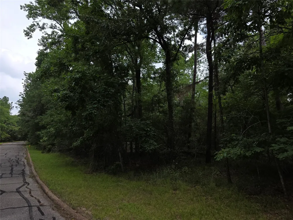 Bermuda Dune Huntsville, TX 77364