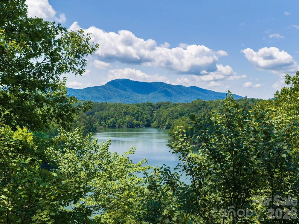 Lot 3 Loggers Pass Lane Mill Spring, NC 28756