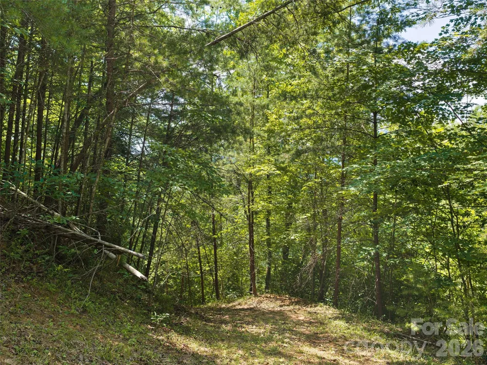 Lot 3 Loggers Pass Lane Mill Spring, NC 28756