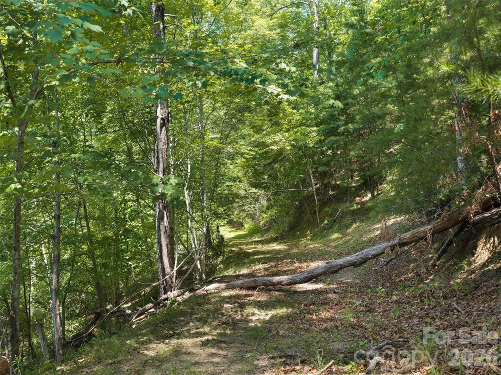 Lot 3 Loggers Pass Lane Mill Spring, NC 28756