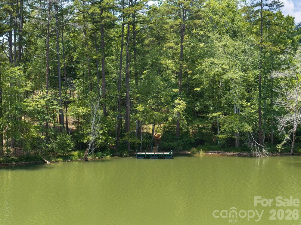 Lot 14 Parkway North Road #14 Mill Spring, NC 28756