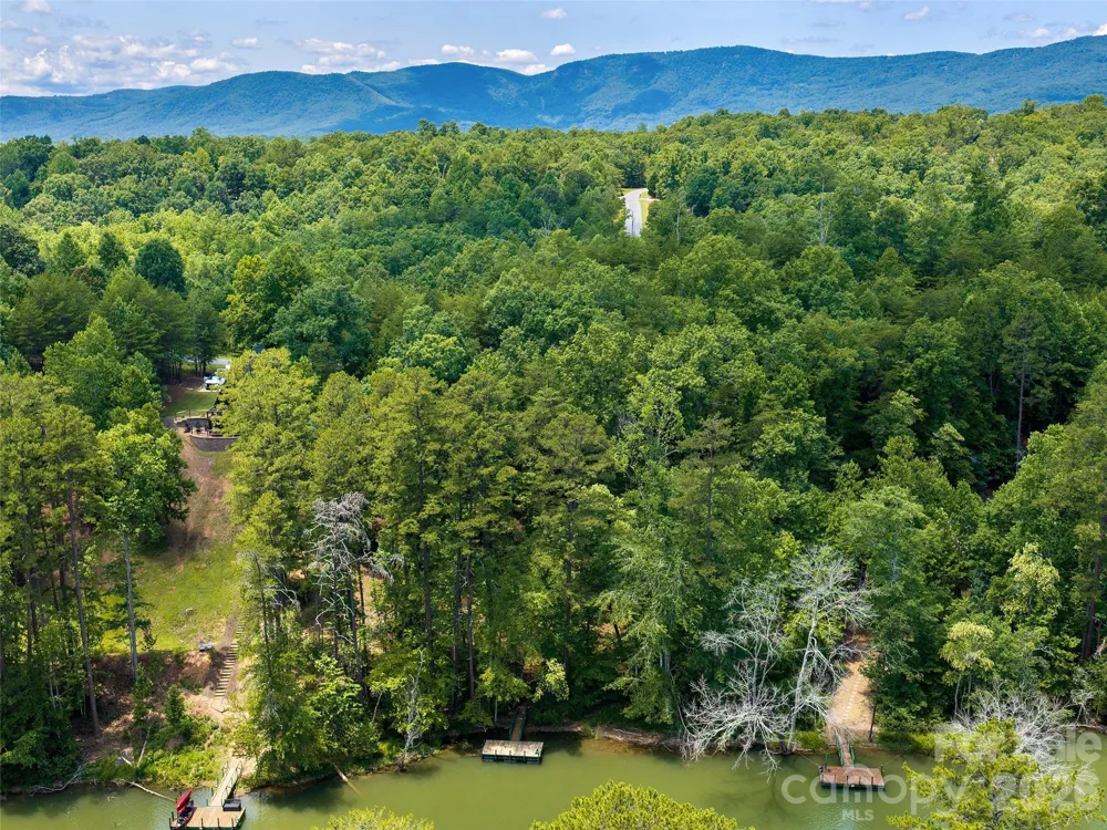Lot 14 Parkway North Road #14 Mill Spring, NC 28756