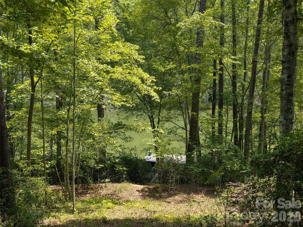 Lot 14 Parkway North Road #14 Mill Spring, NC 28756