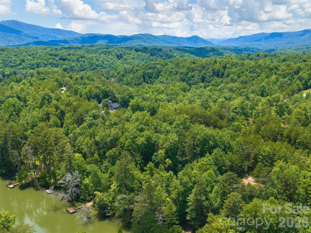 Lot 14 Parkway North Road #14 Mill Spring, NC 28756
