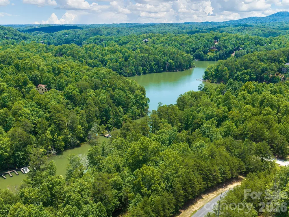 Lot 14 Parkway North Road #14 Mill Spring, NC 28756