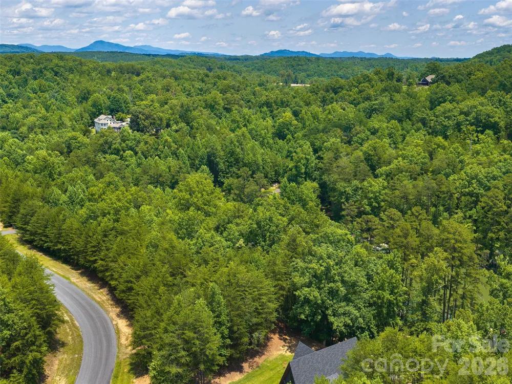 Lot 14 Parkway North Road #14 Mill Spring, NC 28756
