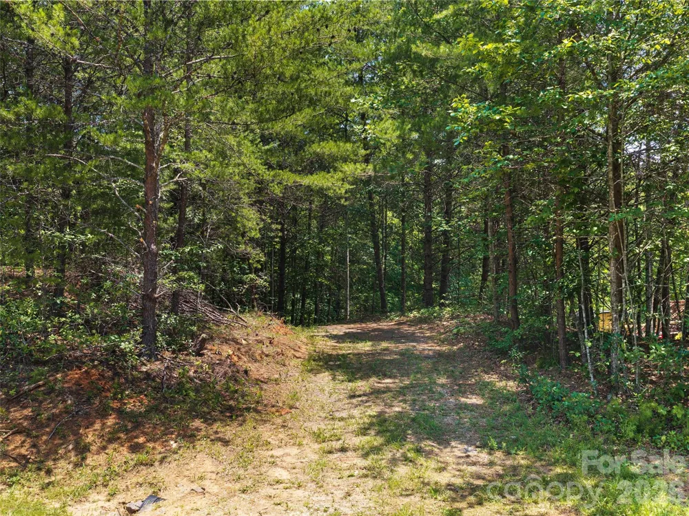 Lot 14 Parkway North Road #14 Mill Spring, NC 28756