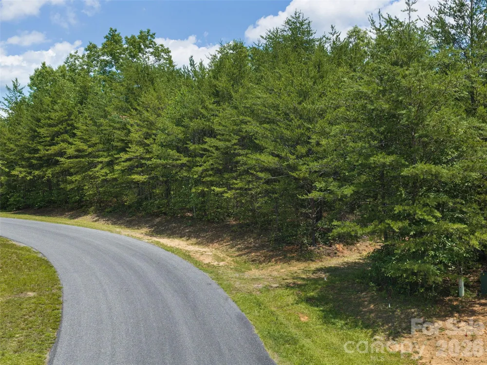 Lot 14 Parkway North Road #14 Mill Spring, NC 28756
