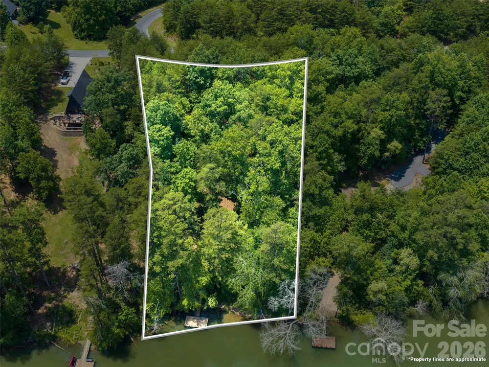 Lot 14 Parkway North Road #14 Mill Spring, NC 28756