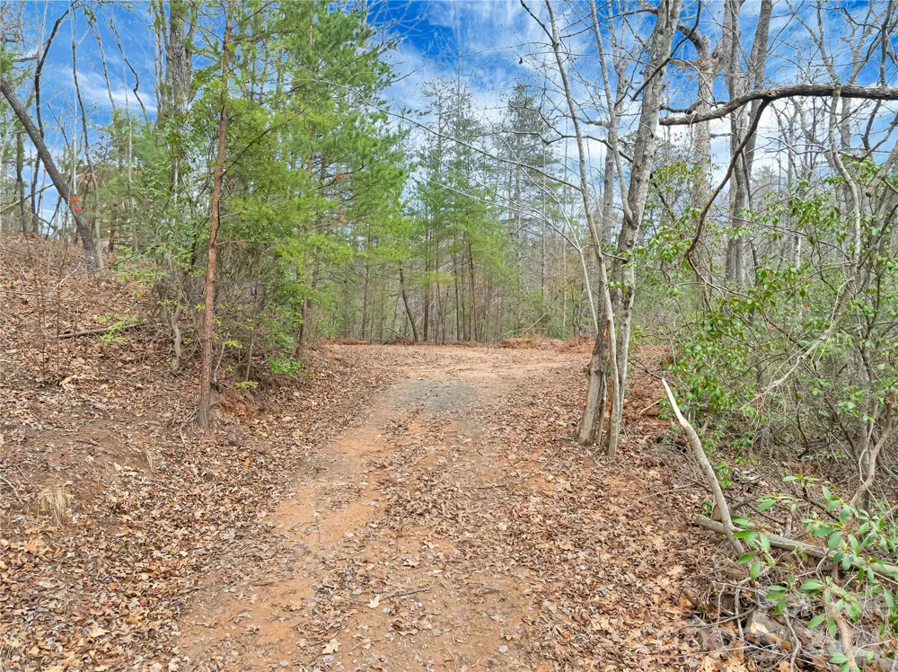 TBD Deep Woods Lane #102 Saluda, NC 28773
