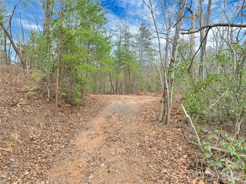 TBD Deep Woods Lane #102