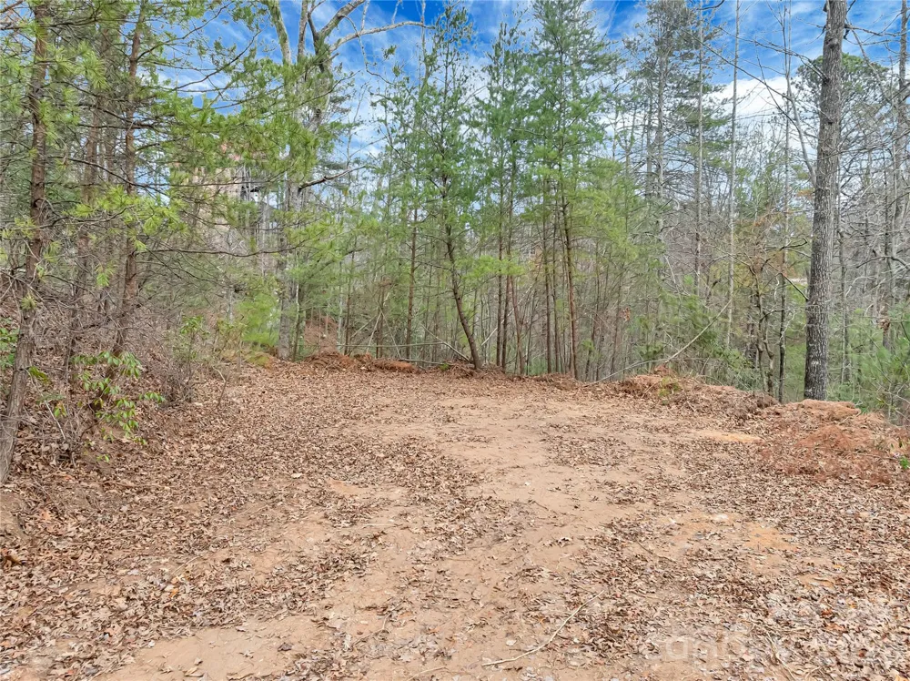 TBD Deep Woods Lane #102 Saluda, NC 28773