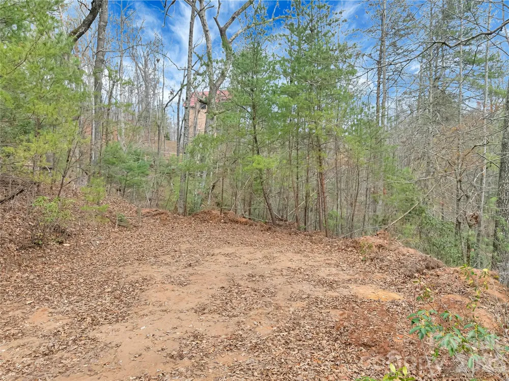 TBD Deep Woods Lane #102 Saluda, NC 28773