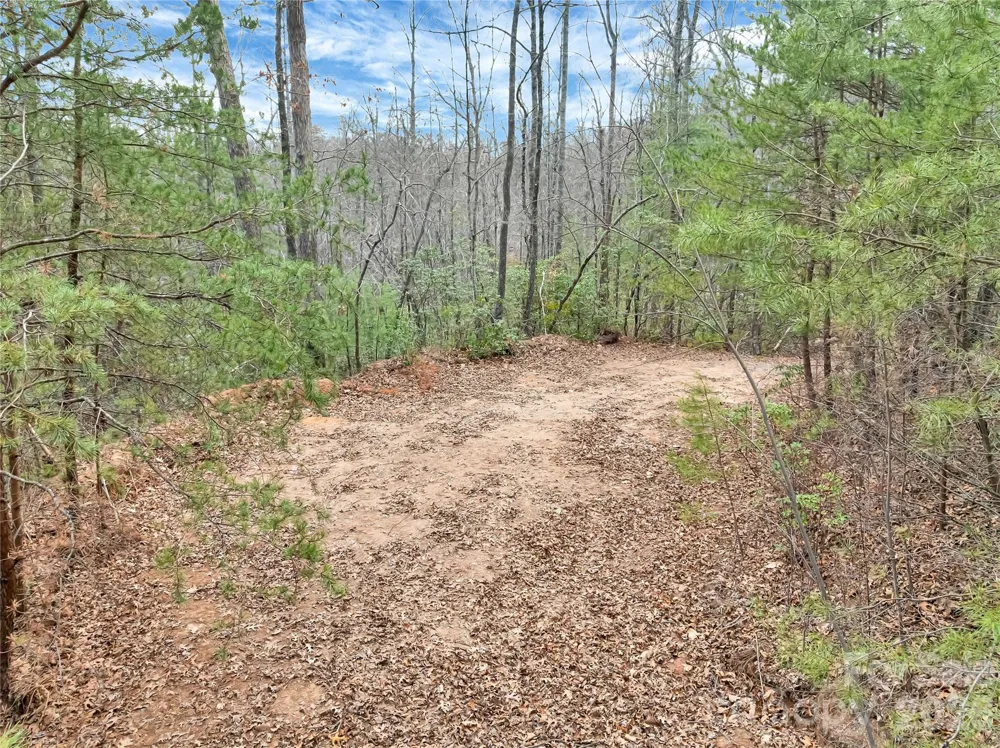 TBD Deep Woods Lane #102 Saluda, NC 28773