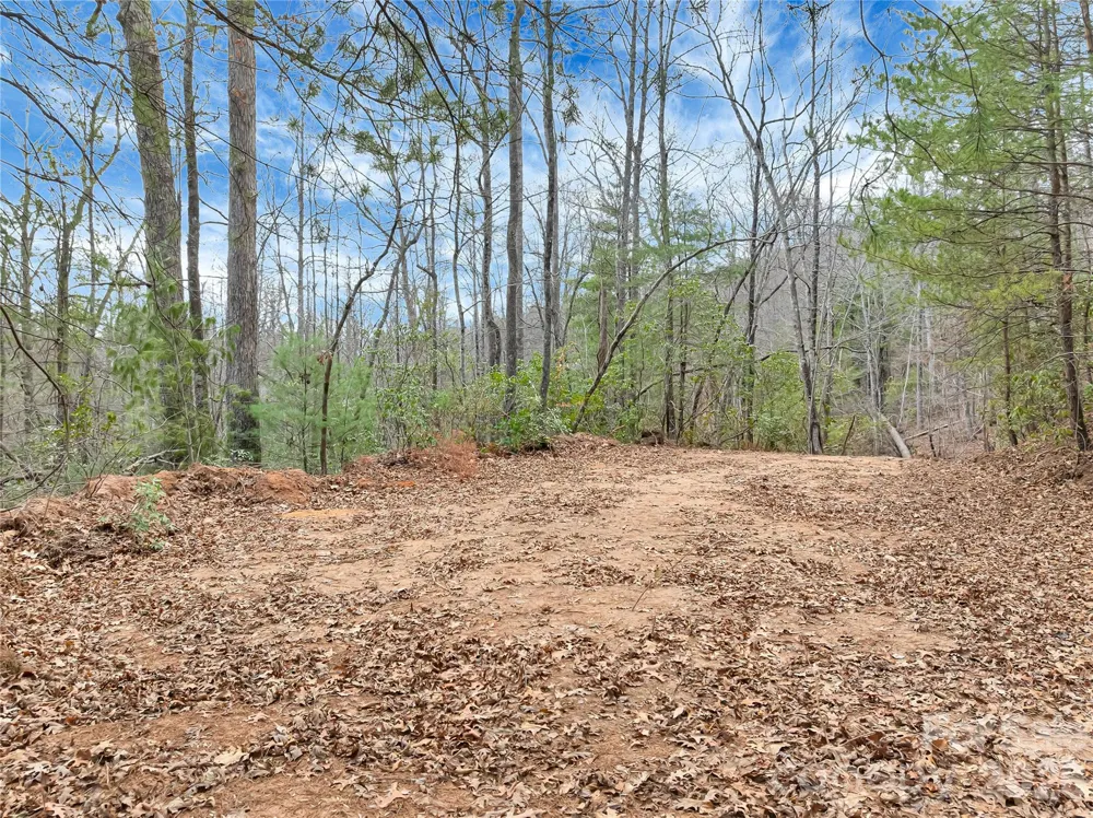 TBD Deep Woods Lane #102 Saluda, NC 28773