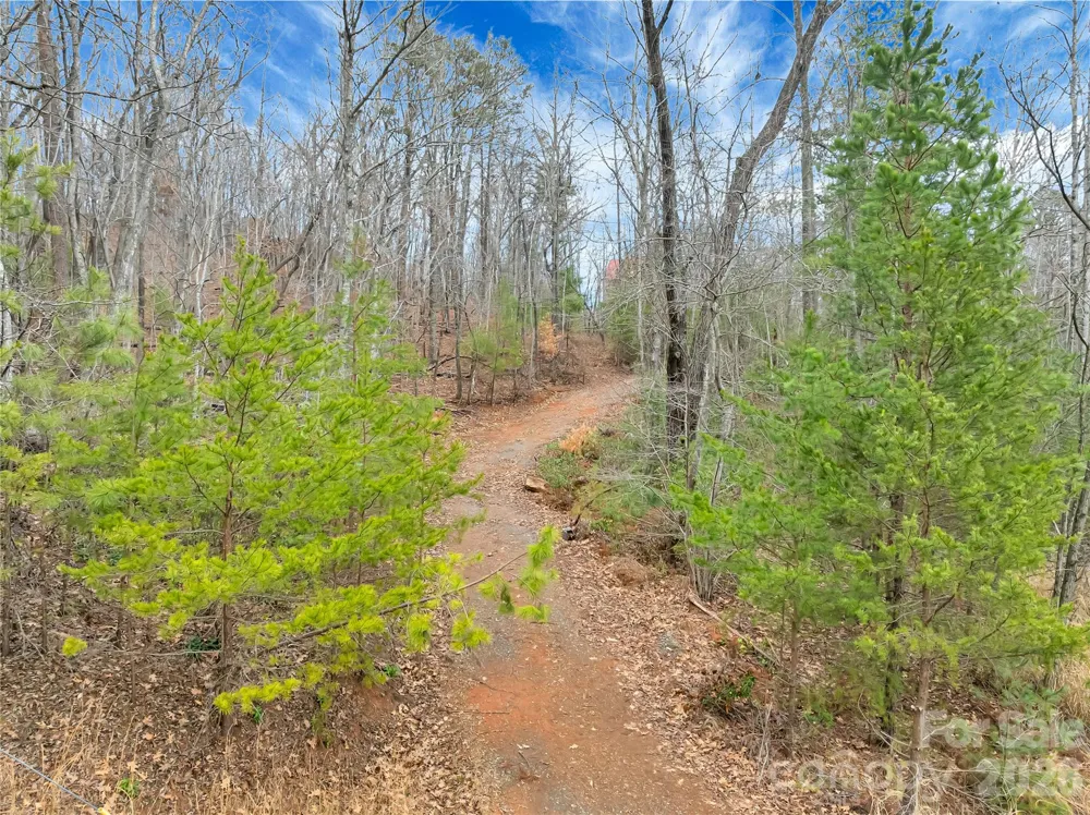 TBD Deep Woods Lane #102 Saluda, NC 28773