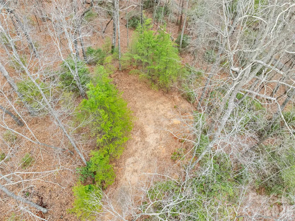 TBD Deep Woods Lane #102 Saluda, NC 28773
